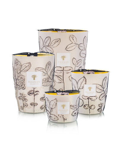 SCENTED CANDLE FOLIA CALANQUE