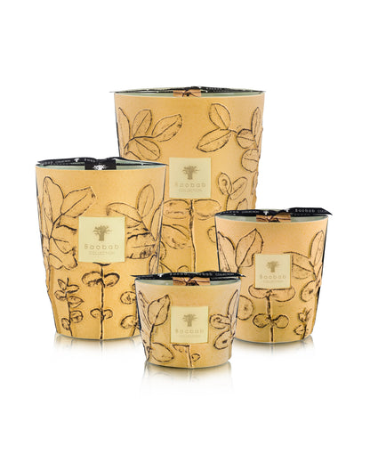 SCENTED CANDLE FOLIA GARRIGUE