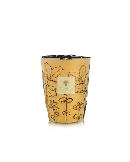 SCENTED CANDLE FOLIA GARRIGUE