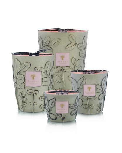 SCENTED CANDLE FOLIA MAQUIS