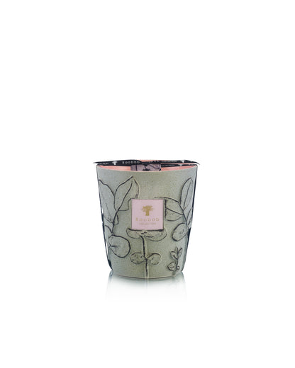 SCENTED CANDLE FOLIA MAQUIS