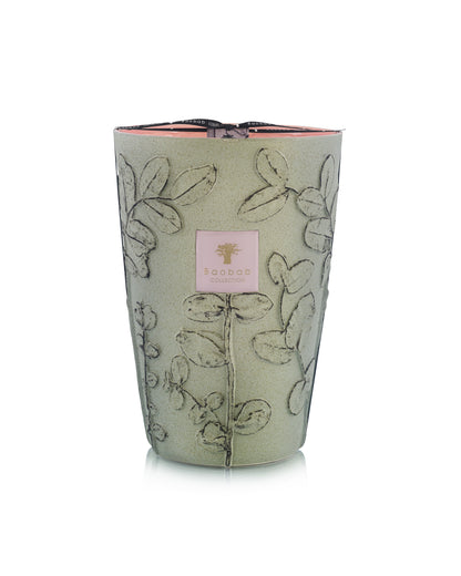 SCENTED CANDLE FOLIA MAQUIS