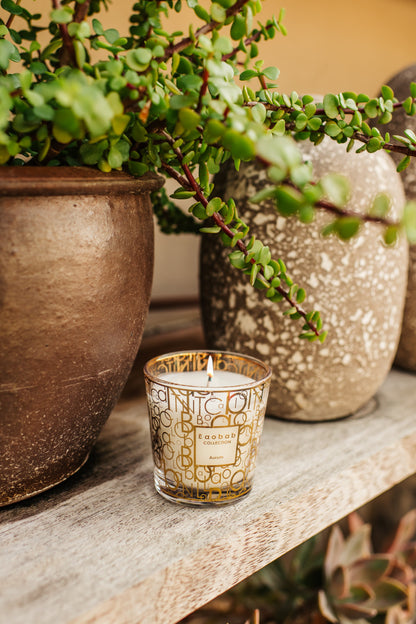 SCENTED CANDLE MY FIRST BAOBAB AURUM